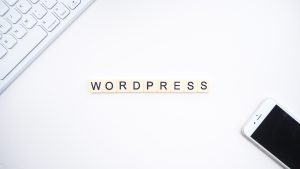 Wordpress Plugins für den Start_Nützliche und kostenlose Plugins für WordPress